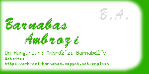 barnabas ambrozi business card